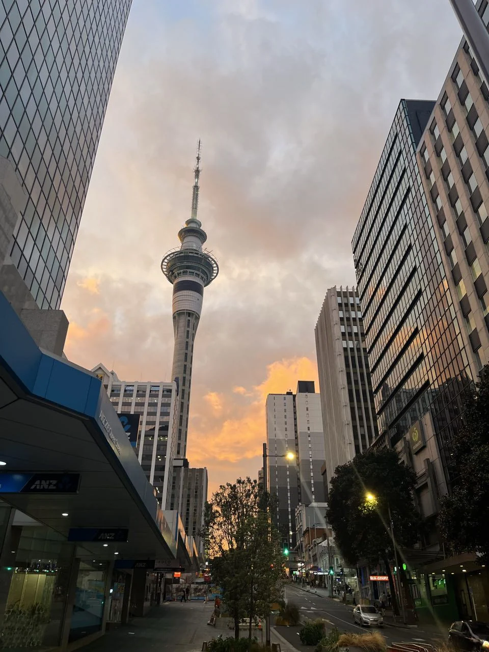 New Zealand property investment: Top 10 Auckland suburbs bringing the highest rental income
